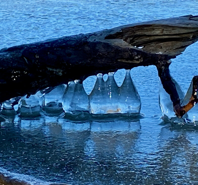 2026 Winter photo