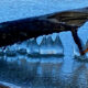 2026 Winter photo 2026 Winter photo